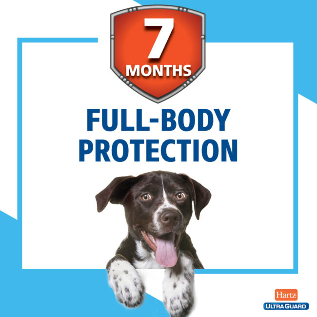 7 months of full body flea and tick protection.