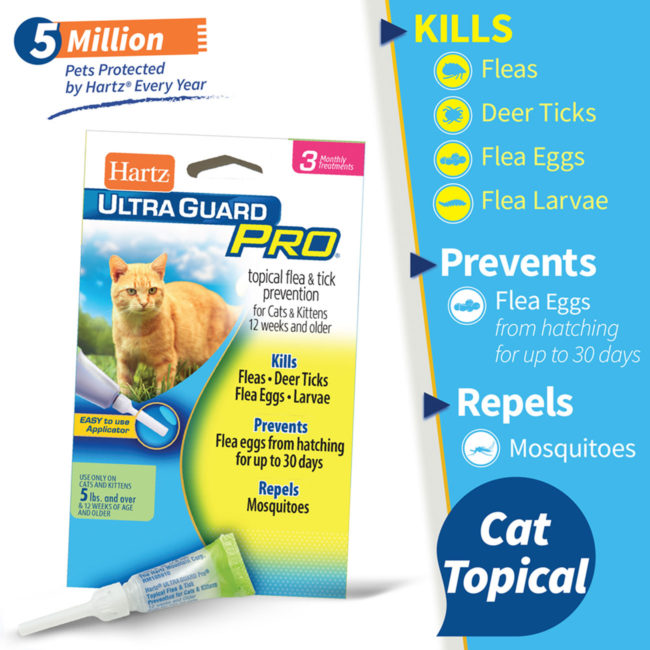 Hartz flea and tick treatment for cats kills fleas, deer ticks, flea eggs, flea larvae.