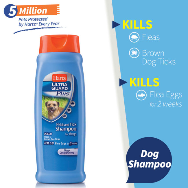 Hartz UltraGuard Plus flea & tick shampoo for dogs.