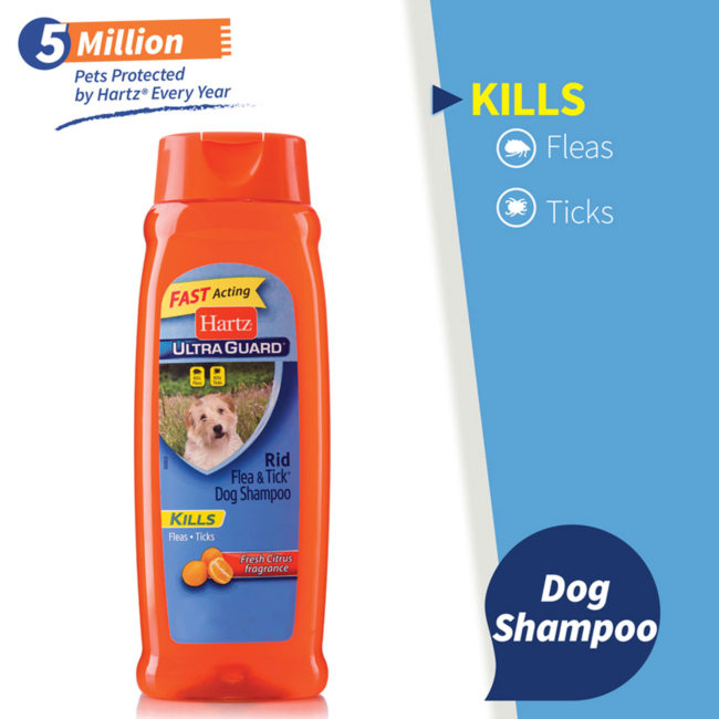 A flea & tick shampoo for dogs with a fresh citrus scent.