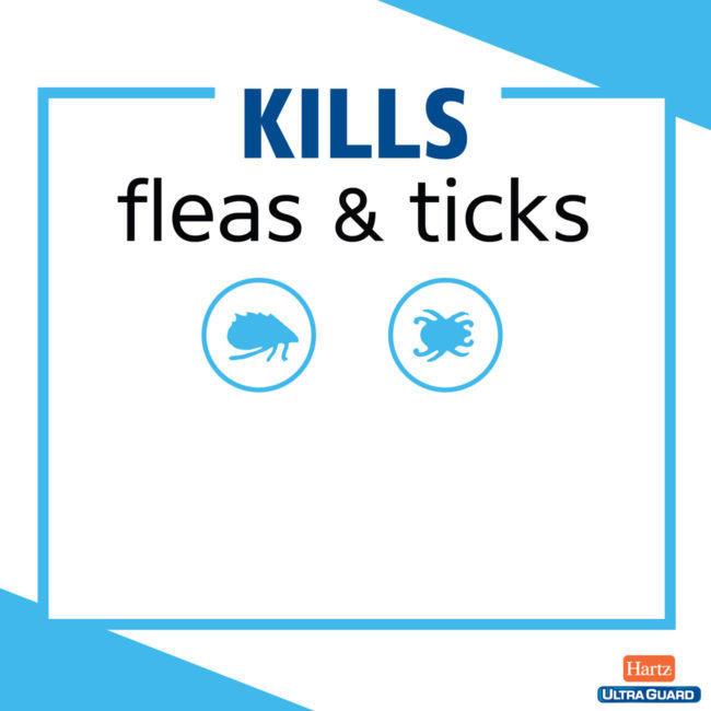 Hartz UltraGuard kills fleas & ticks