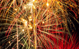 Because of the brightness and volume of fireworks, dogs may be scared