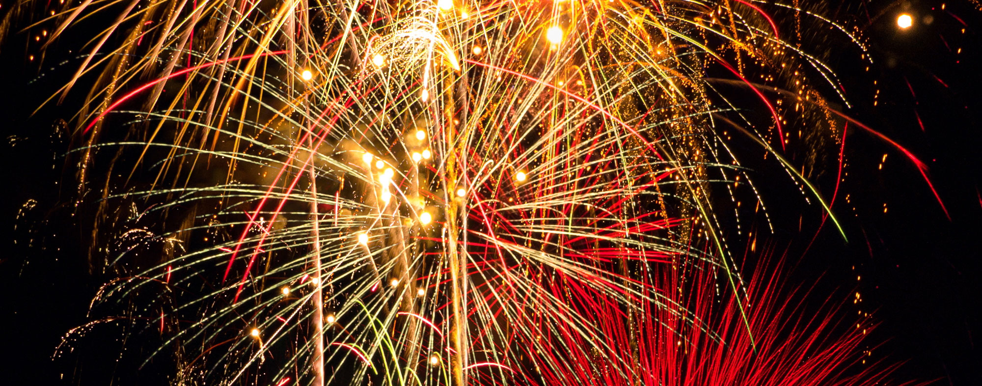 How Do You Calm A Dog Down On A Fireworks Night