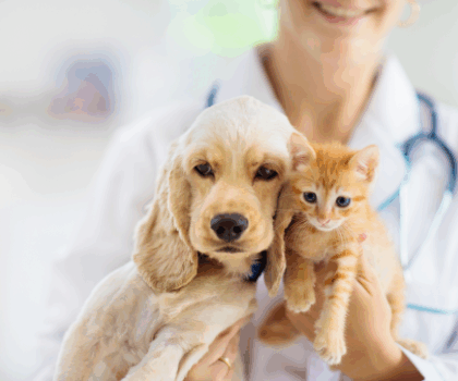 A veterinarian holding a puppy and kitten