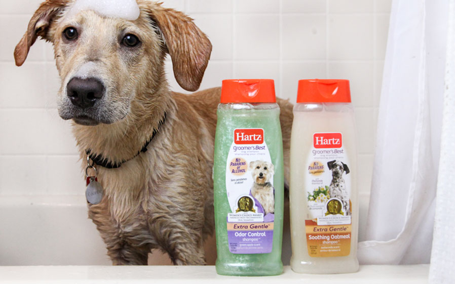 Hartz® GROOMER’S BEST® Odor Control Shampoo for Dogs Hartz