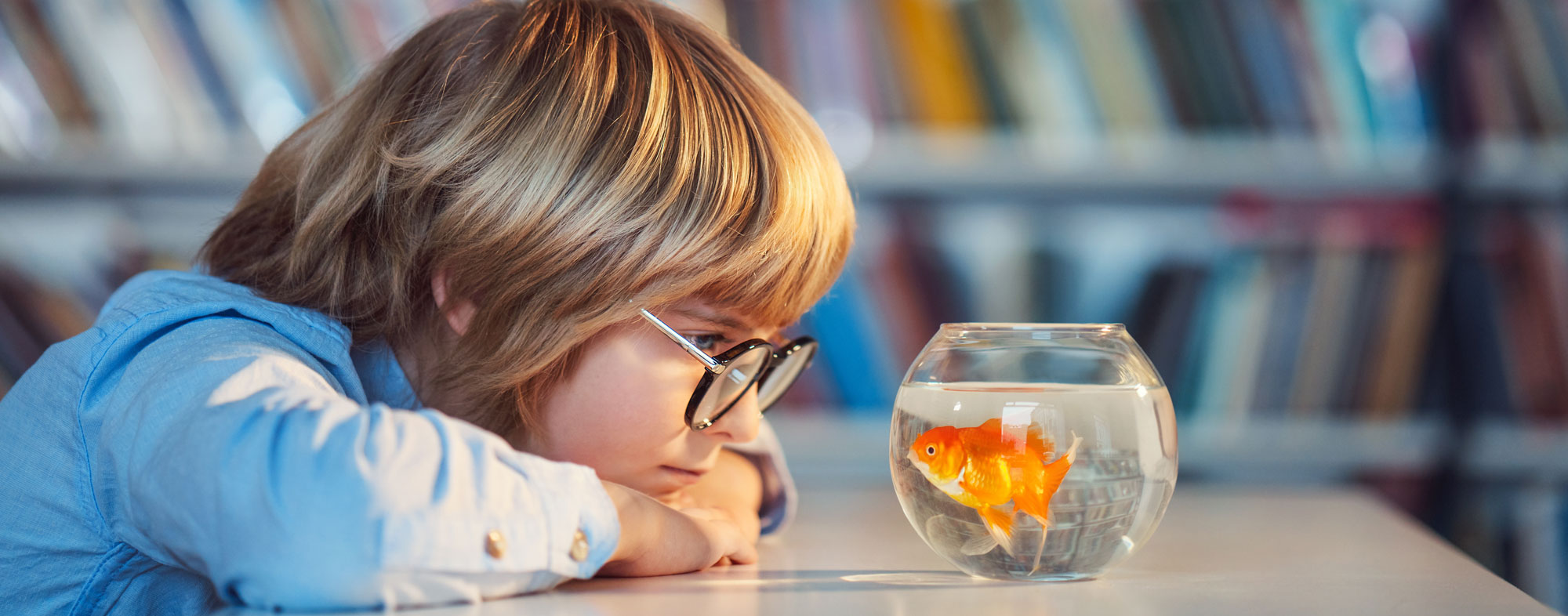 Bringing Fish into the Classroom Hartz