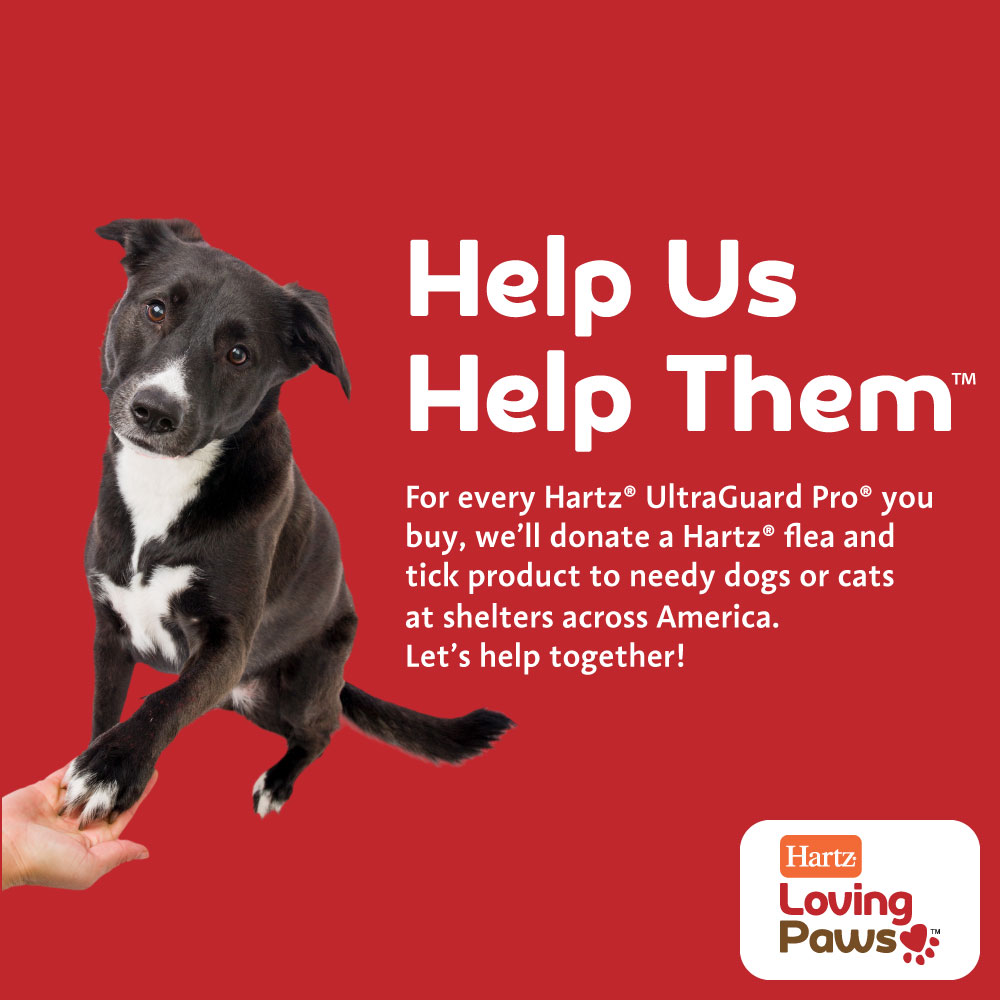 Hartz Loving Paws Hartz