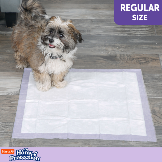 Lavender scented dog pad. Helps remove dog smell.