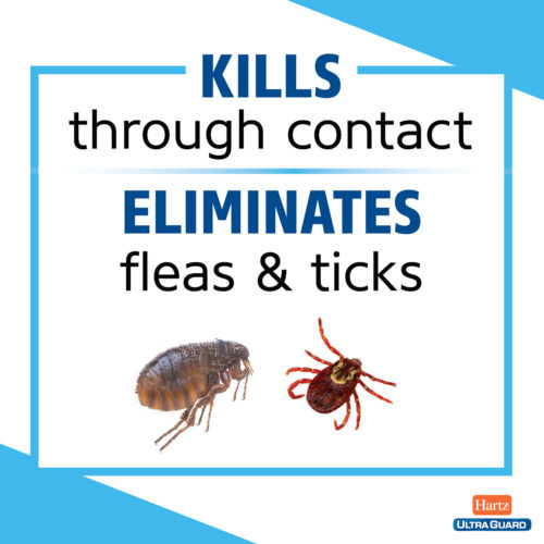 View of Hartz® UltraGuard® Topical Flea and Tick Prevention for Cats | Hartz