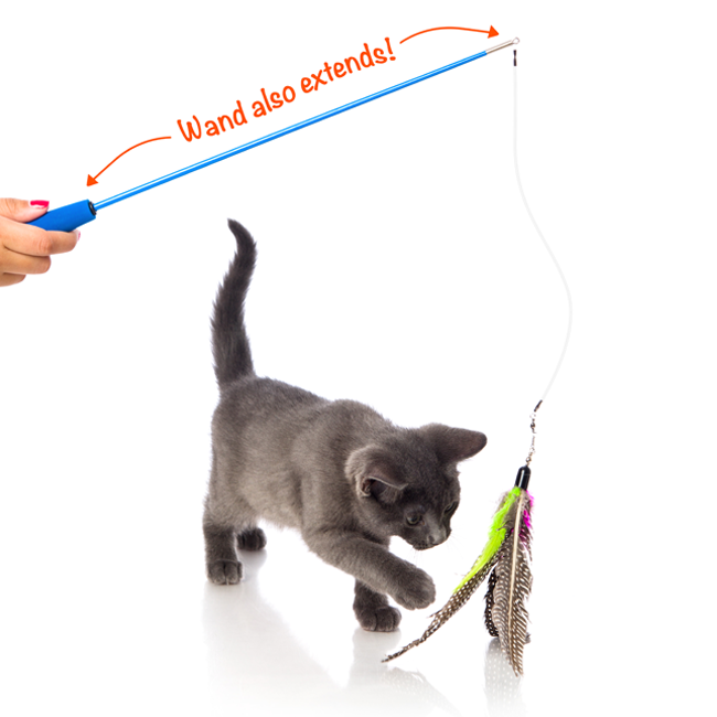 Kitten being tantalized by feather toy on fishing pole, Hartz SKU 3270015379
