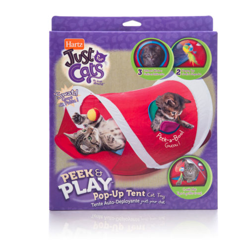 Fun & Entertaining Cat Toys Hartz