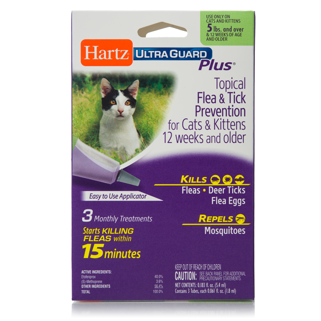 three month flea treatment for cats