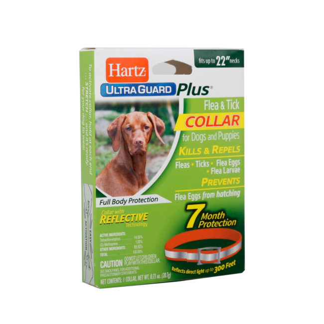 Hartz flea and tick collar. Orange reflective dog collar for dogs safety.