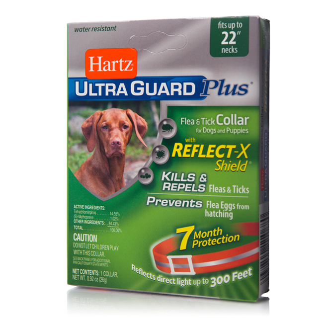 Hartz flea and tick collar. Orange reflective collar for dogs safety.