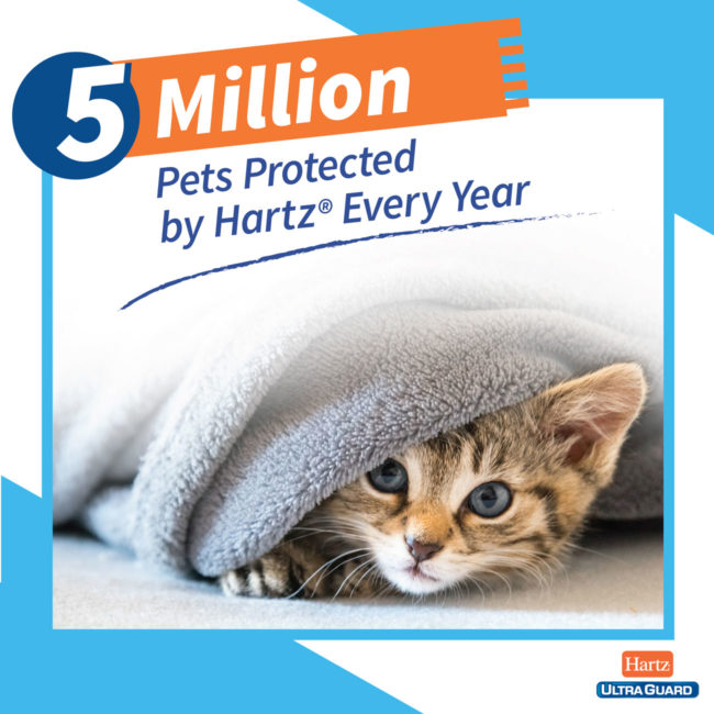 5 million pets protected by Hartz flea and tick prevention for cats.