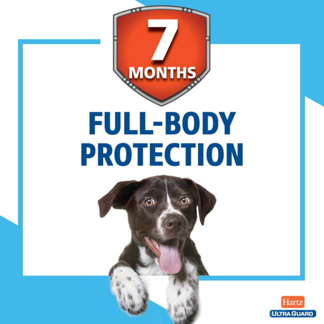 7 months of full body flea and tick protection. This product treats fleas and ticks on dogs.