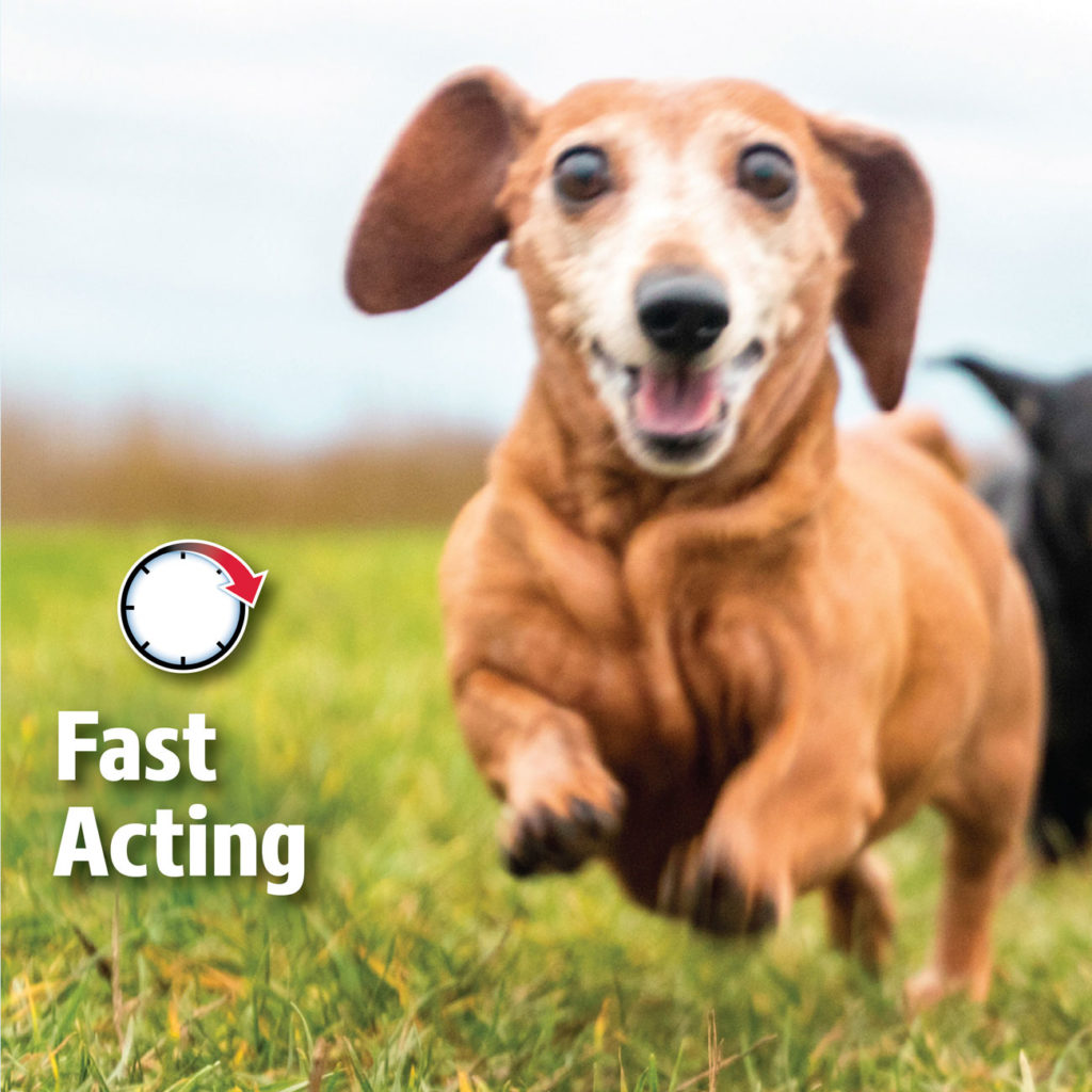 Photo inspiration: Fresh Look at Hartz Ultraguard Dual Action Topical Flea And Tick Prevention For
