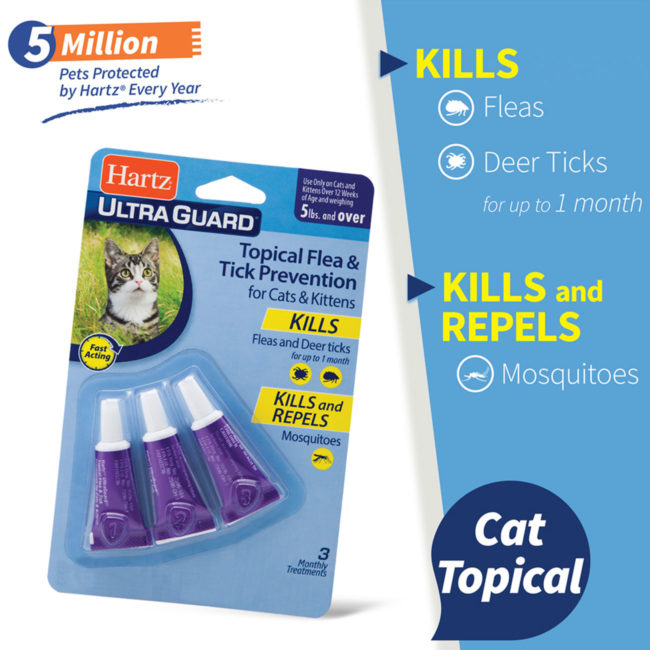 Hartz® UltraGuard® Topical Flea and Tick Prevention for Cats. Prevention of flea and tick cats need.
