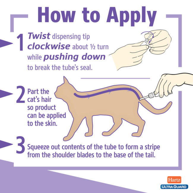 how to apply cat flea treatment