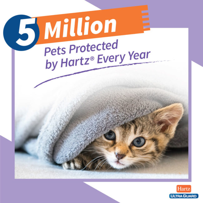 5 million pets protected with flea and tick treatment for cats