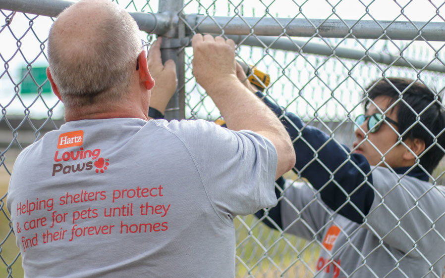 Employee volunteers from Hartz Mountain working with Rescue Rebuild on a shelter restoration project.