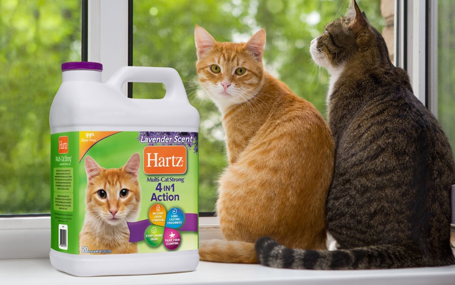 hartz 4 in 1 cat litter
