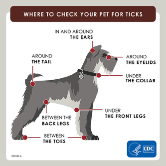 CDC Infographic - Where to check your pet for ticks