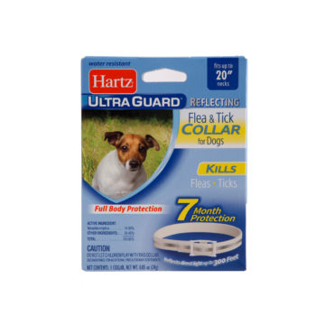 Hartz flea & tick collar for dogs. A reflective flea collar. Hartz SKU#3270002898