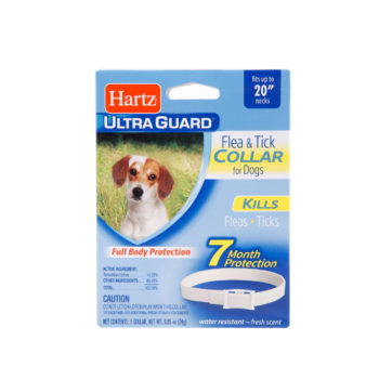 Hartz UltraGuard flea collar for dogs offer flea and tick protection for up to 7 months. Hartz SKU#3270080484.