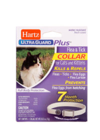 Can My Pet Get Fleas During The Winter Hartz