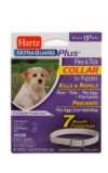 Hartz UltraGuard Plus flea and tick collar for puppies. Front of package. Hartz SKU#3270096341