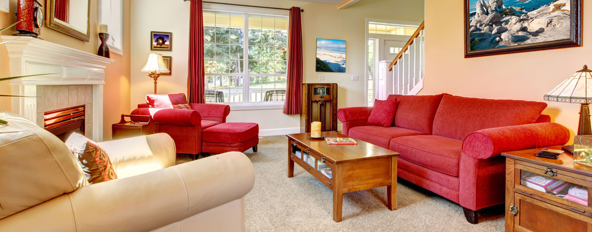 Best flea bombs clearance for apartment