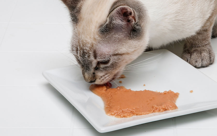 Squeeze Up Calories Unbiased Delectables Squeeze Up Cat Treat
