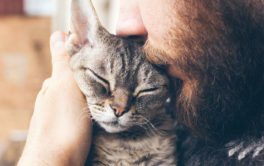 man holding his cat. is the cat treated for fleas?