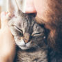 Man holding his cat. Learn how you pet a cat after a cat flea treatment.