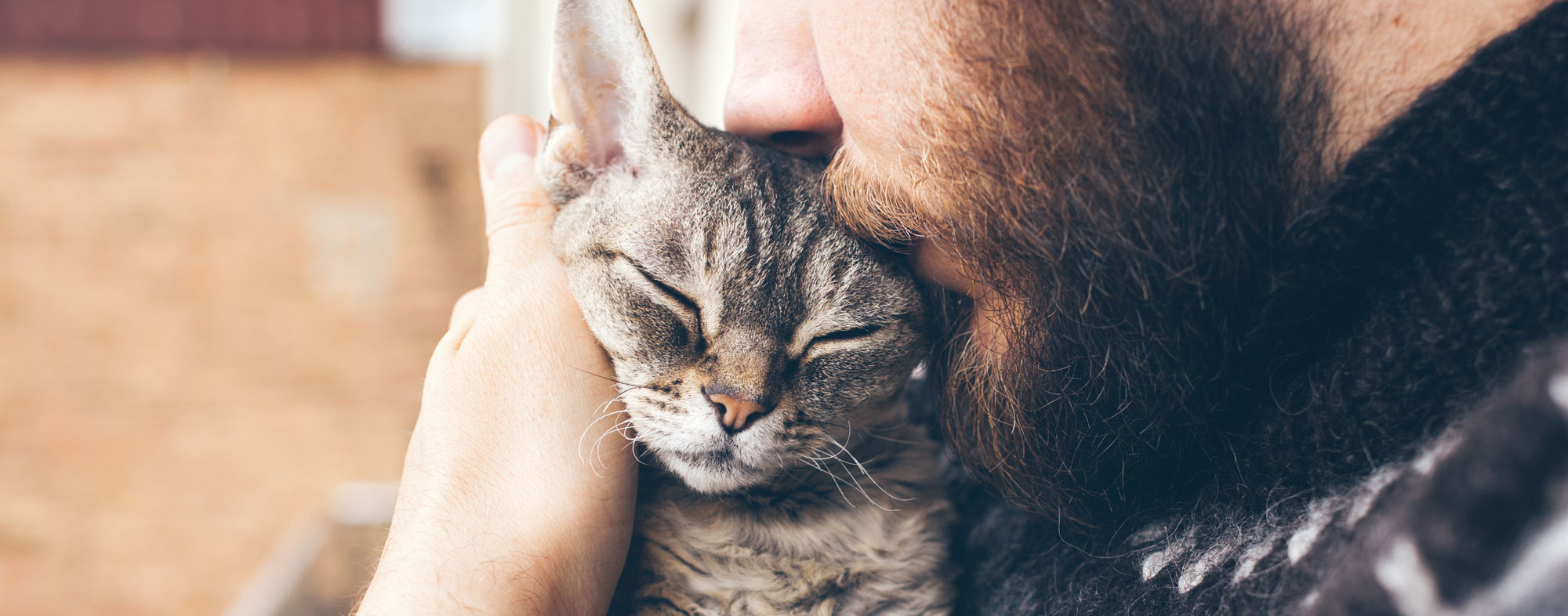 Man holding his cat. Learn how you pet a cat after a cat flea treatment.