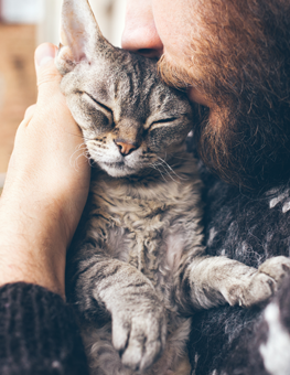 Man holding his cat. Fleas on cats can be addressed with a cat flea treatment.