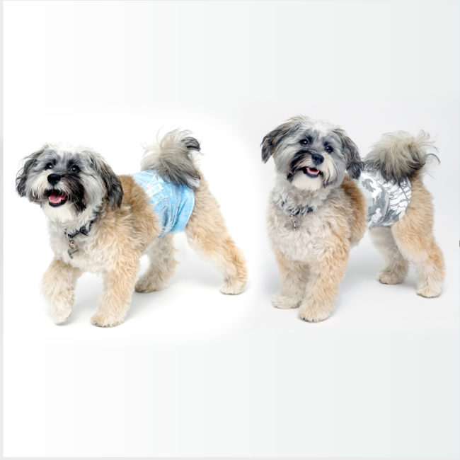 Male wraps for dog incontinence