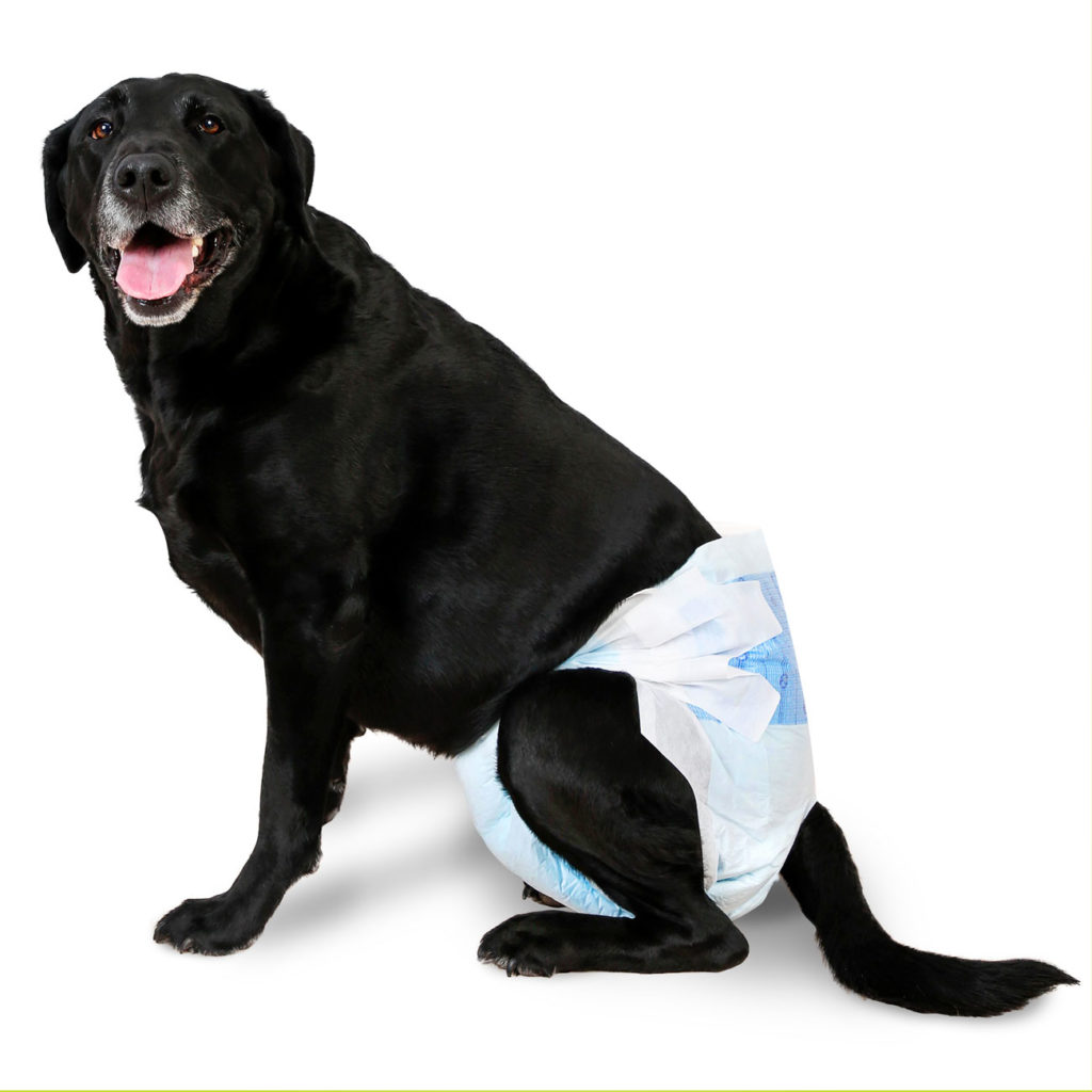 Hartz® Disposable Dog Diapers with FlashDry® Gel Technology 5ct Hartz
