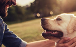 Man petting dog. What are the symptoms of coronavirus in dogs?