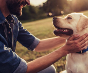 Can Pets Spread COVID to humans - Man petting dog