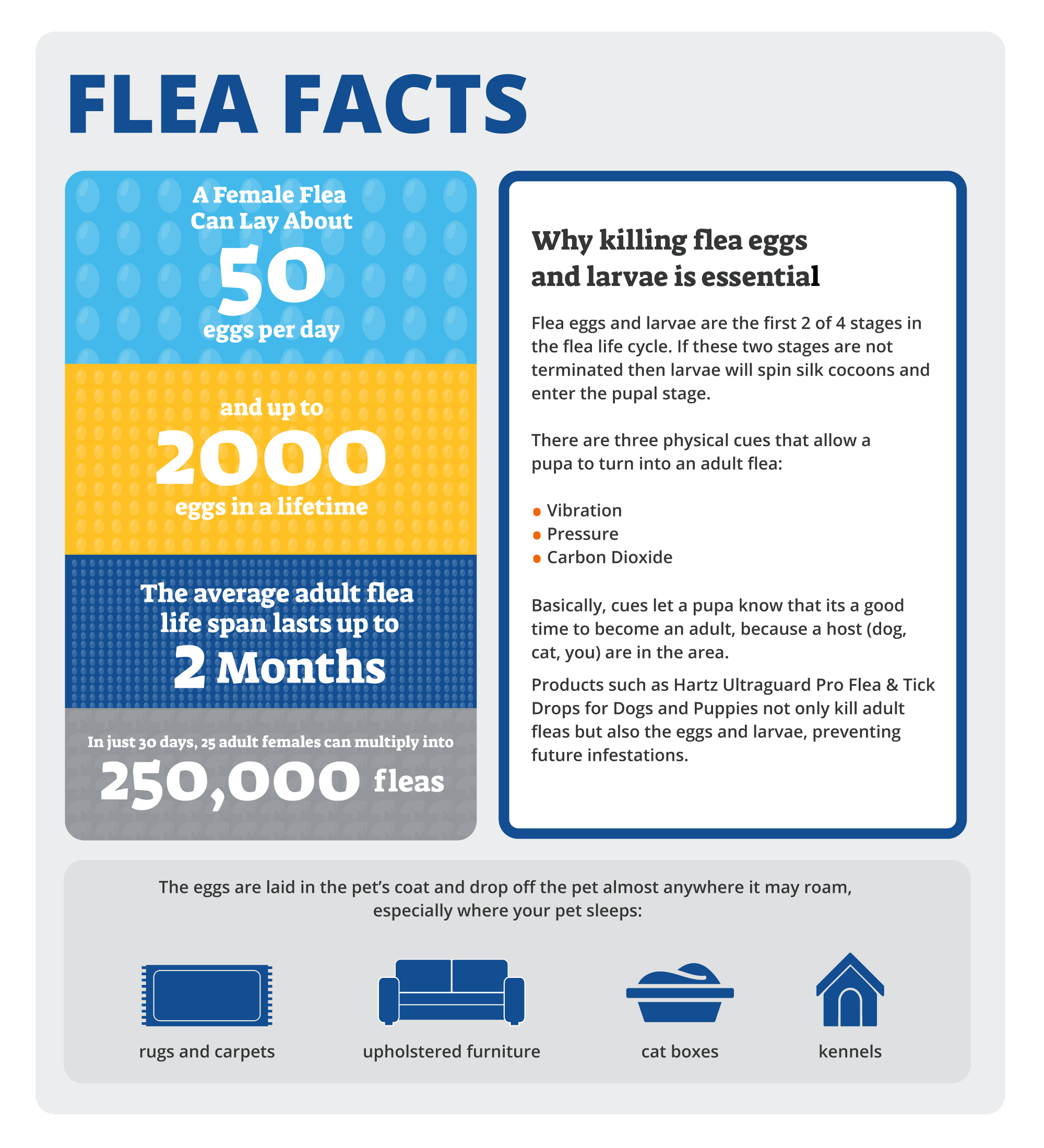 Hartz UltraGuard flea facts. Hartz UltraGuard provides products and inforation about flea prevention and tick prevention.