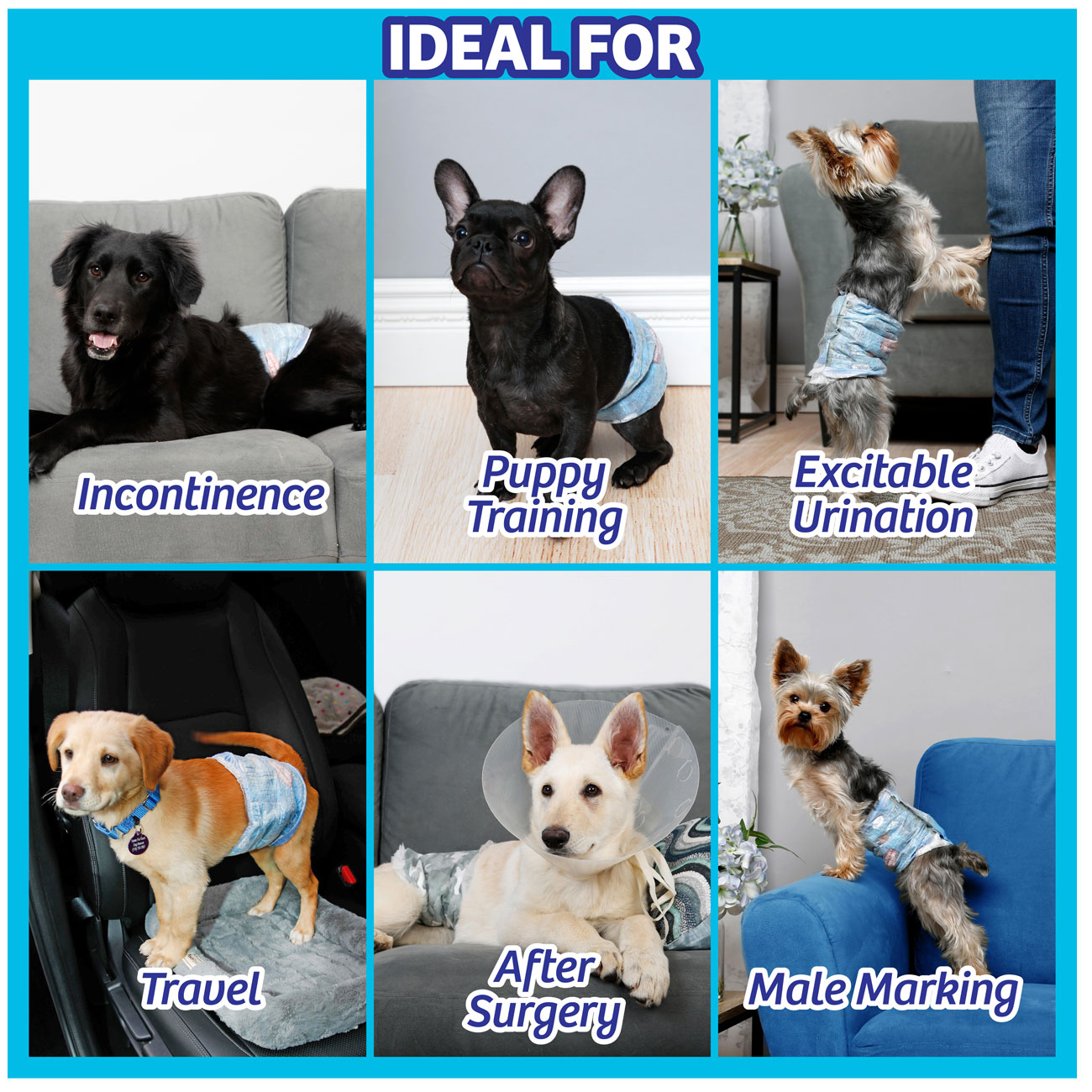 disposable dog wraps