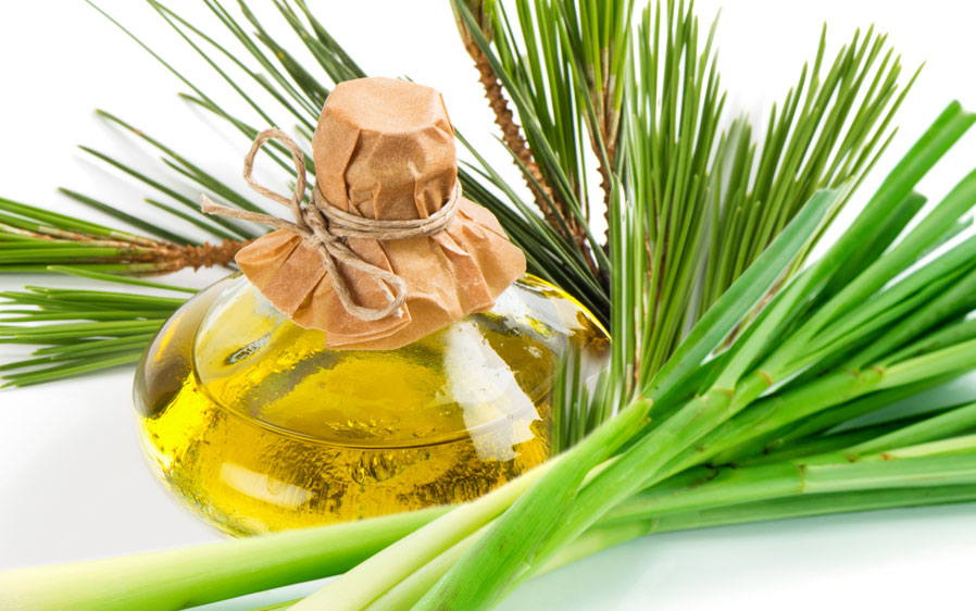 Hartz Nature's Shield natural flea and tick sprays with cedarwood oil and lemongrass oil.