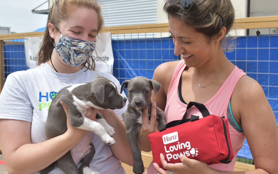 Volunteers at Houston Pets Alive! display puppies available for pet adoption and shelter protection packs donated by Hartz Loving Paws.