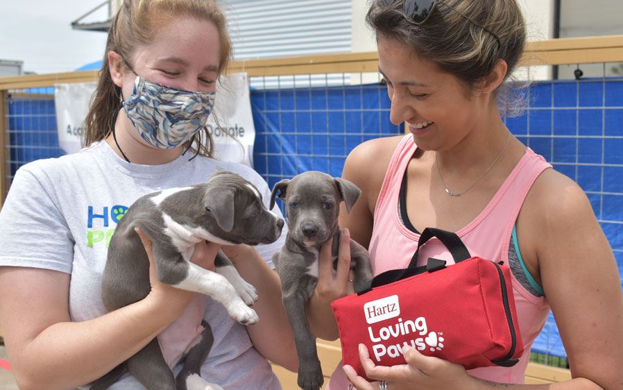 Volunteers at Houston Pets Alive! display puppies available for pet adoption and shelter protection packs donated by Hartz Loving Paws.