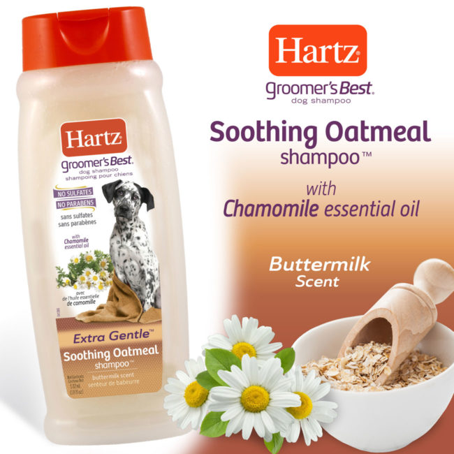 Hartz Groomer's Best soothing oatmeal shampoo with chamomile essential oil and buttermilk scent.