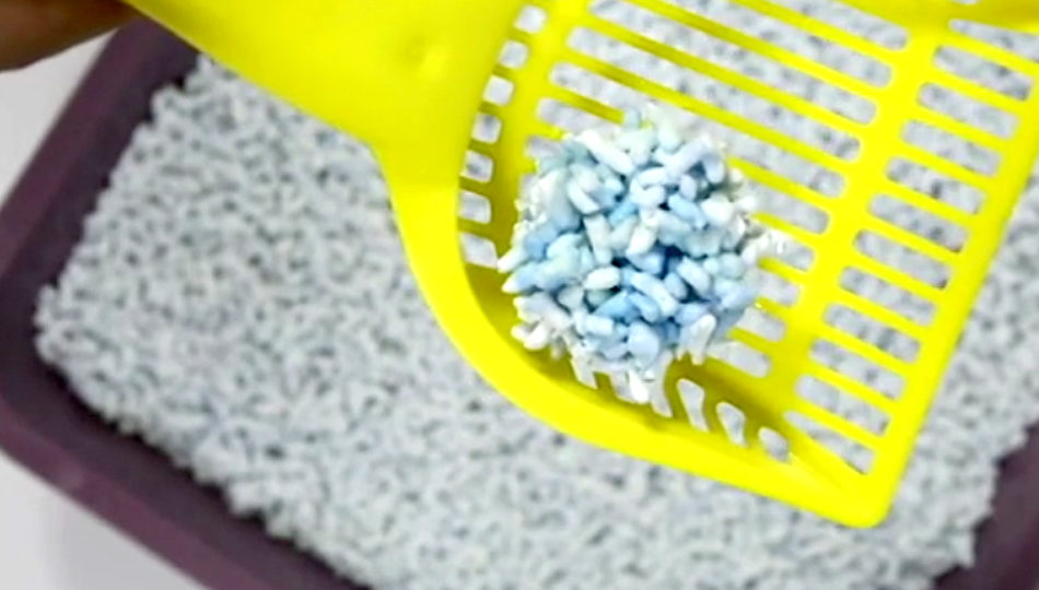 MultiCat Strong Hartz