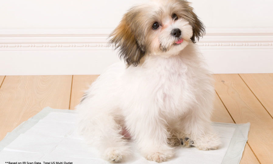 Home Protection Hartz