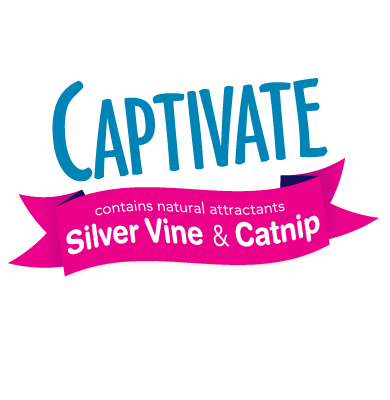 Hartz Captivate cat toys with silver vine and catnip.